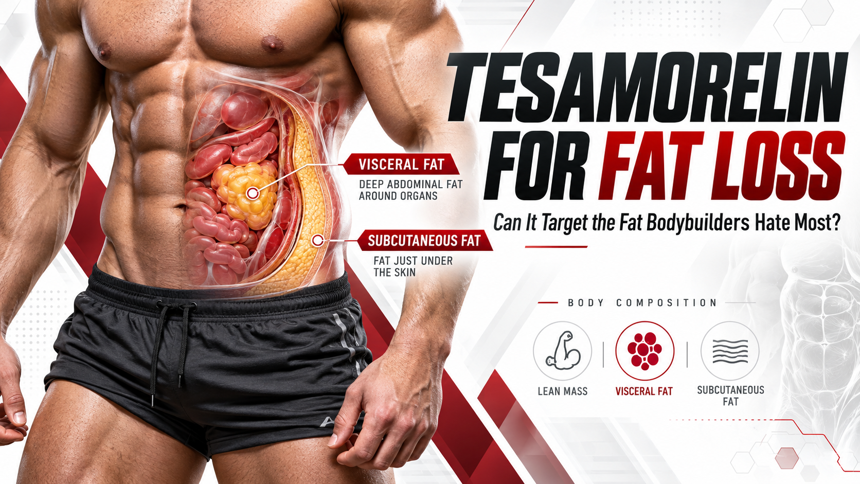Tesamorelin for Fat Loss: Can It Target the Fat Bodybuilders Hate Most?